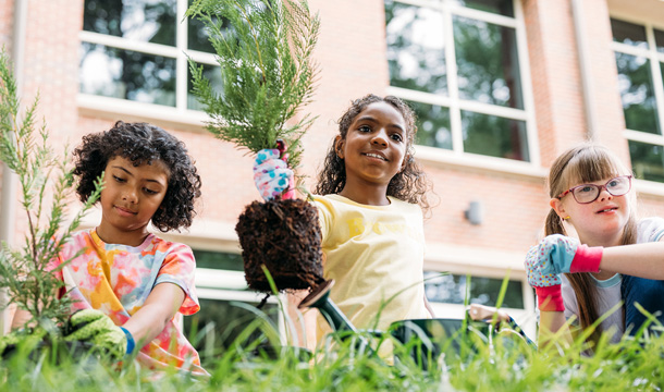 Take Action with the Girl Scout Tree Promise