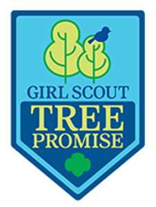 girl scout tree promise patch