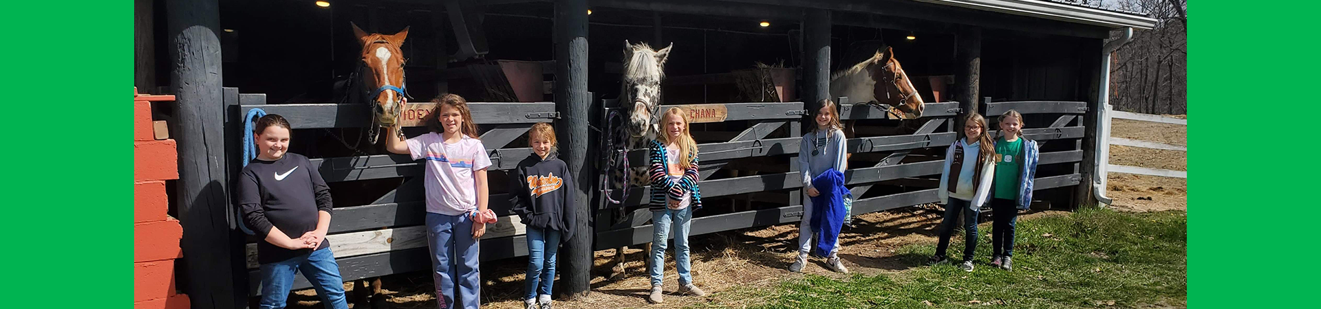  girl scouts at a barn posing for a photo with horses 
